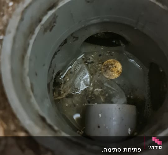 מטבע ולכלוך שהתגלו בתוך קופסת ניקוז ברצפה